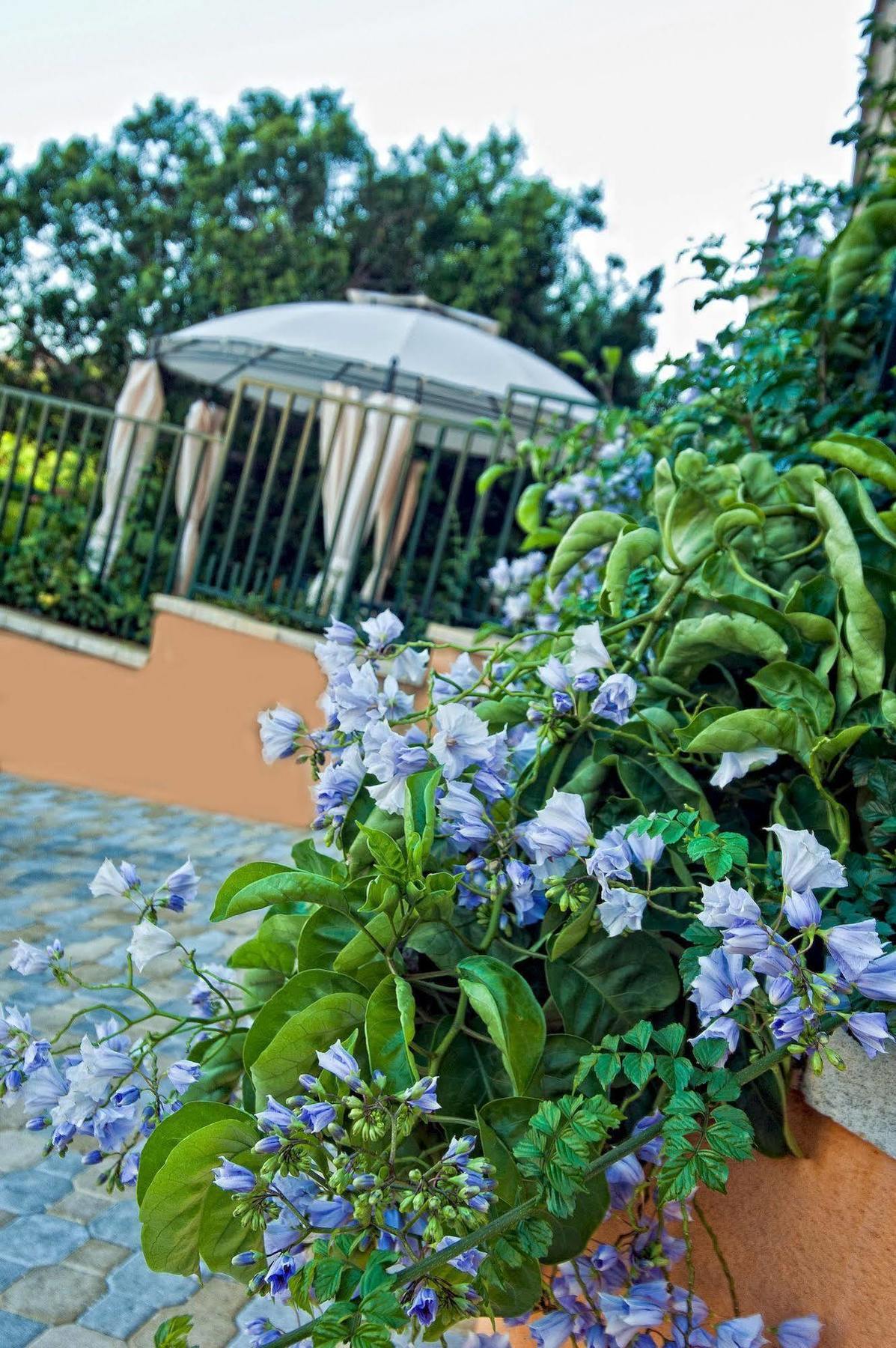 Casale La Zagara Aparthotel ชากกา ภายนอก รูปภาพ